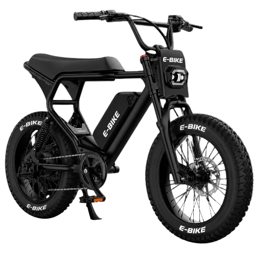 E-Bike Fat Bike Tout-Terrain
